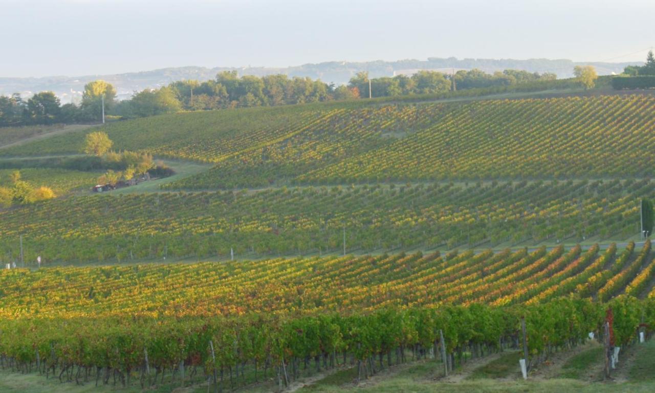 Romantic Gite Nr St Emilion With Private Pool And Views To Die For Pujols  Екстер'єр фото