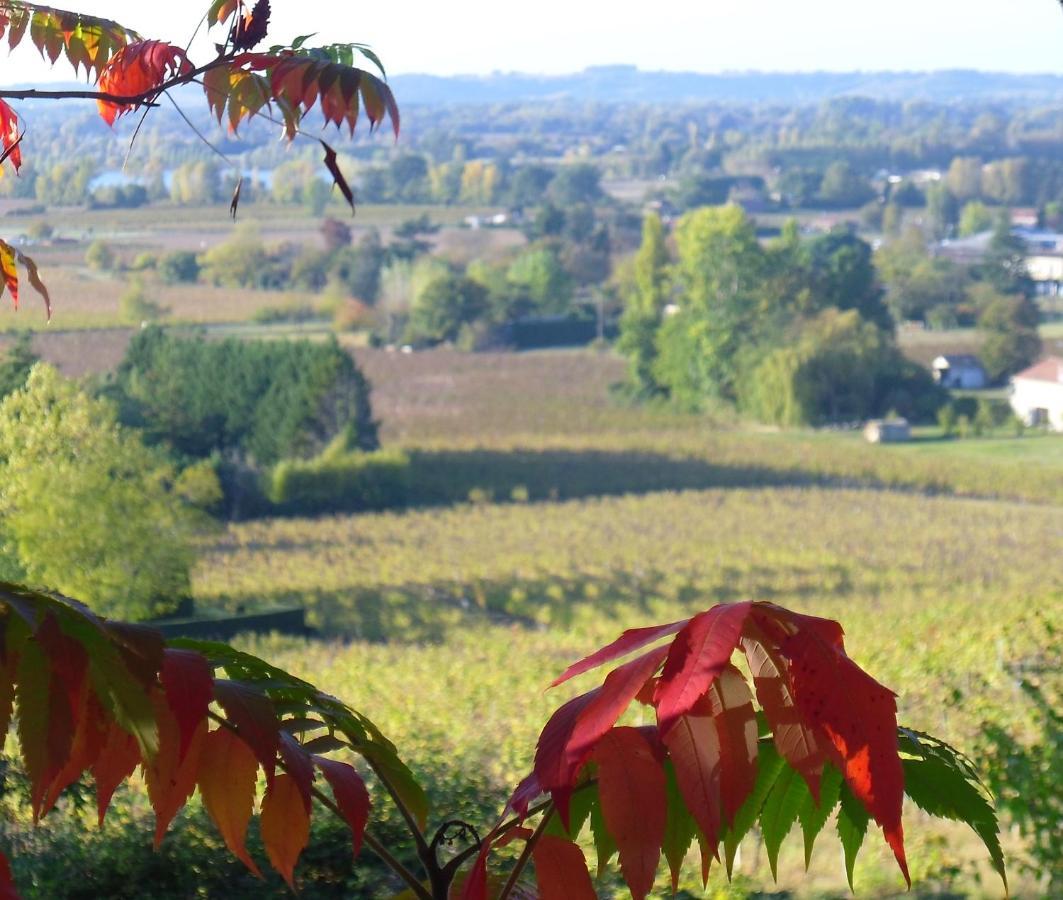 Romantic Gite Nr St Emilion With Private Pool And Views To Die For Pujols  Екстер'єр фото