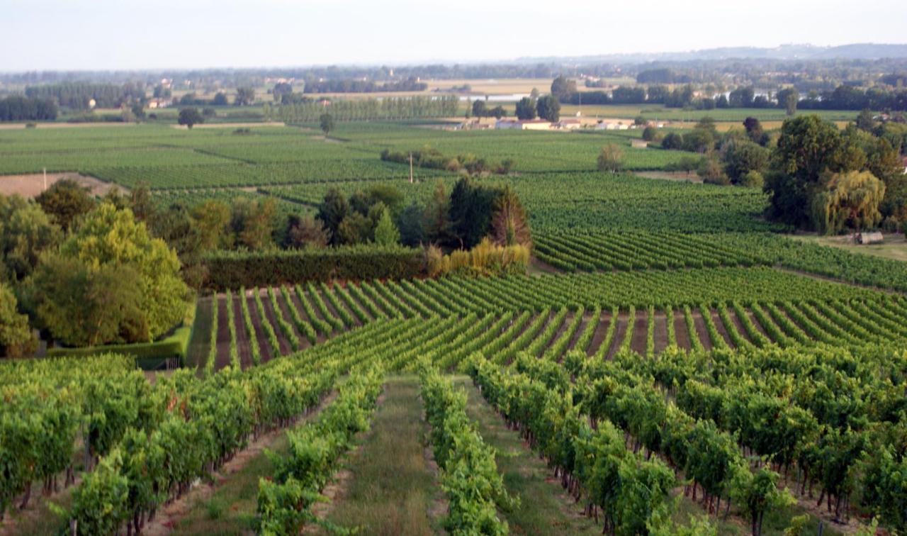 Romantic Gite Nr St Emilion With Private Pool And Views To Die For Pujols  Екстер'єр фото
